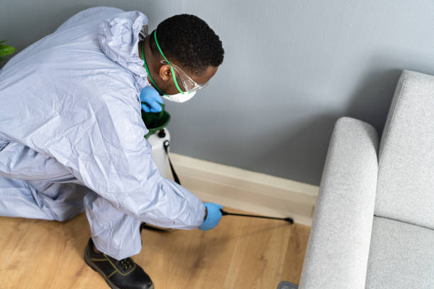 Best Residential Pest Control  in Bay Pines, FL